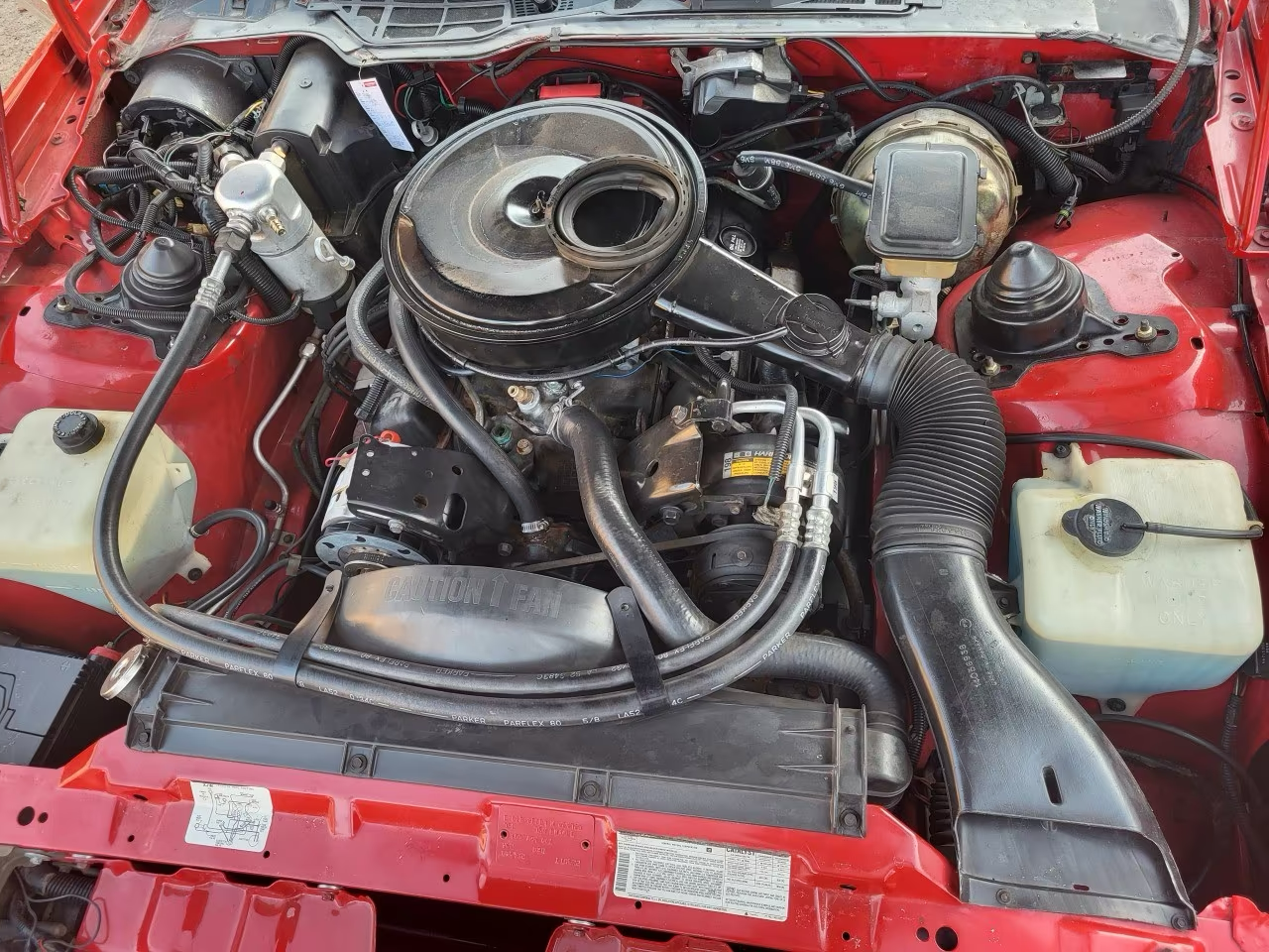 Detailaufnahme des V8-Motorraums mit rundem Luftfilter, Vergaser, Schläuchen und Ausgleichsbehältern
